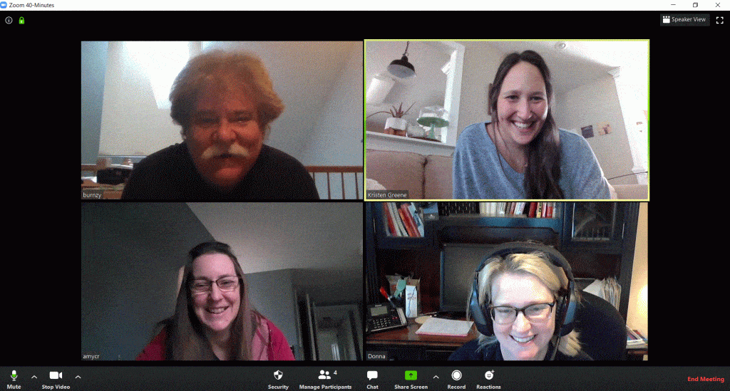 Team Meeting On Zoom